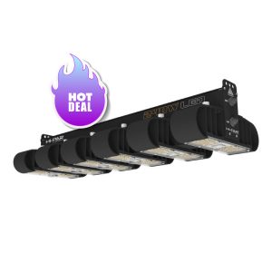 Grow lights and Timers